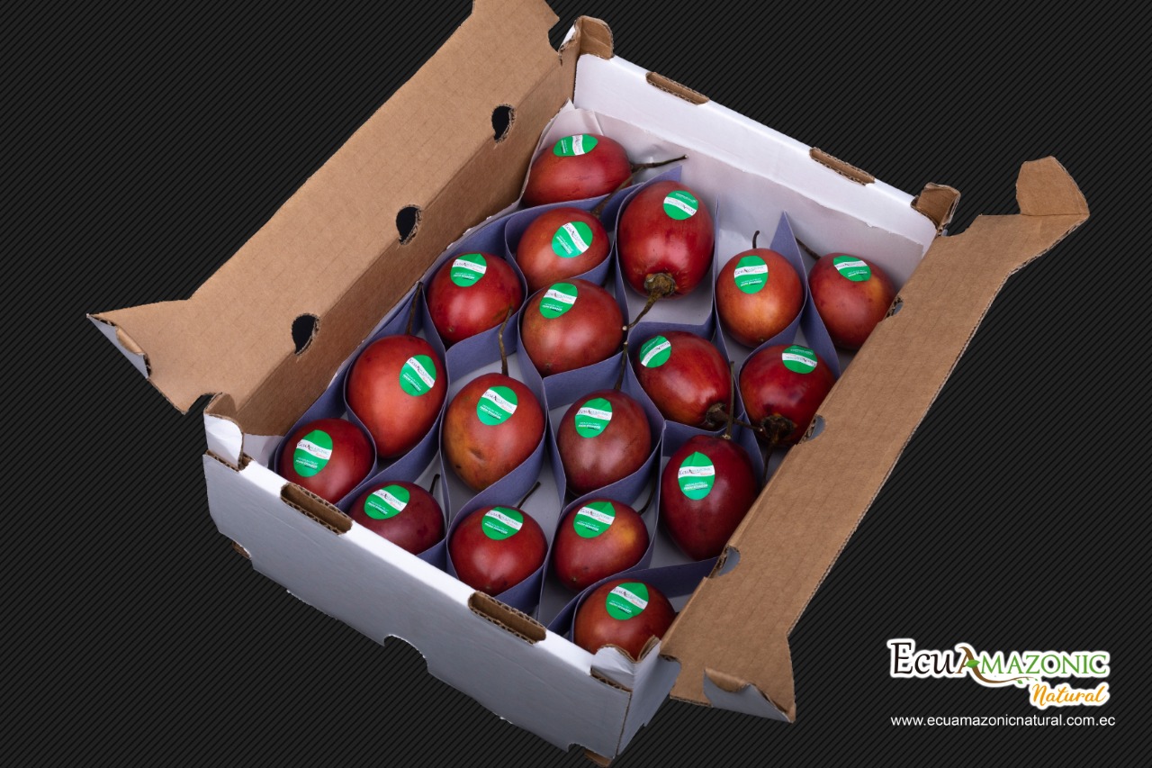 Caja-Tomate-de-Arbol-1