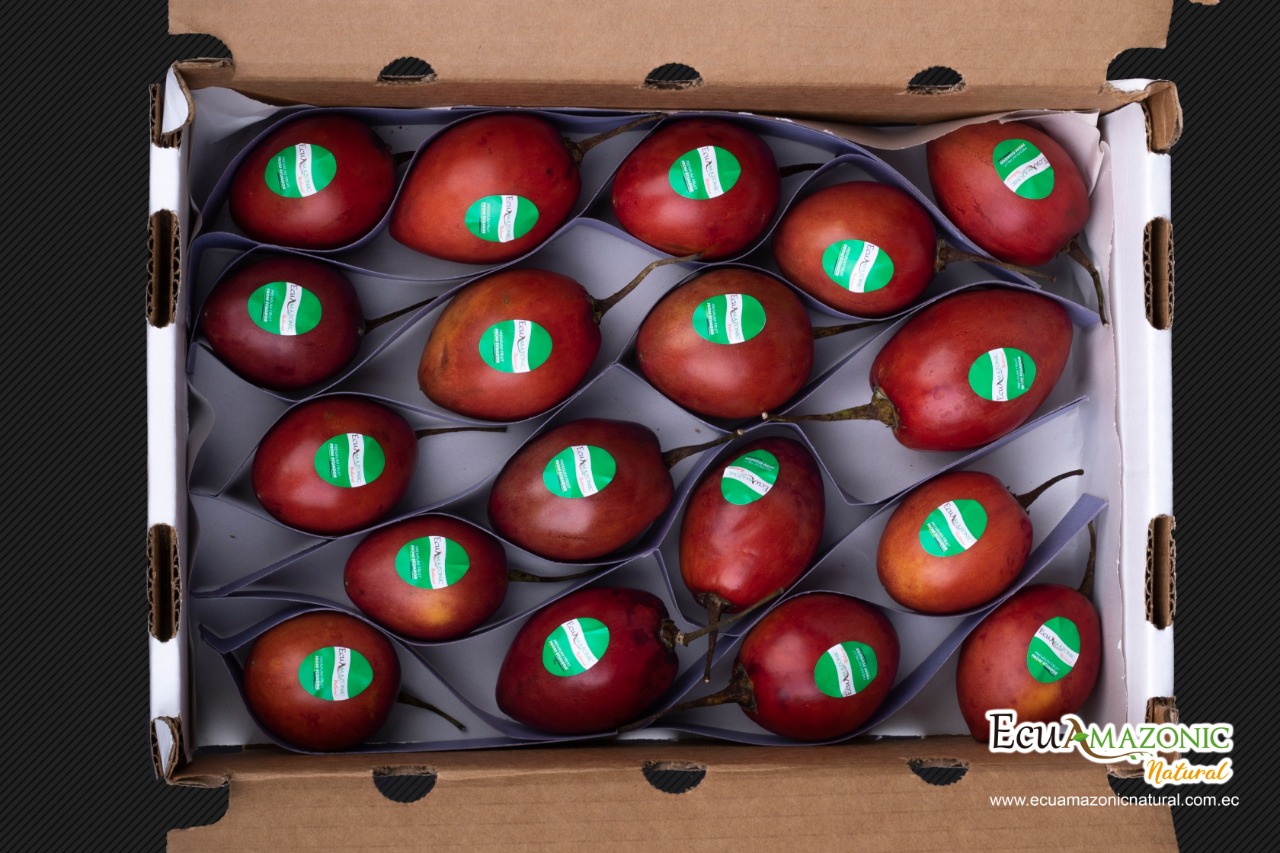 Caja-Tomate-de-Arbol-3
