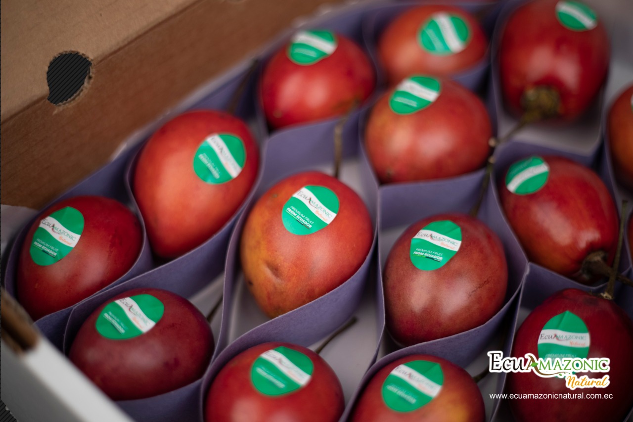 Caja-tomate-de-Arbol-4