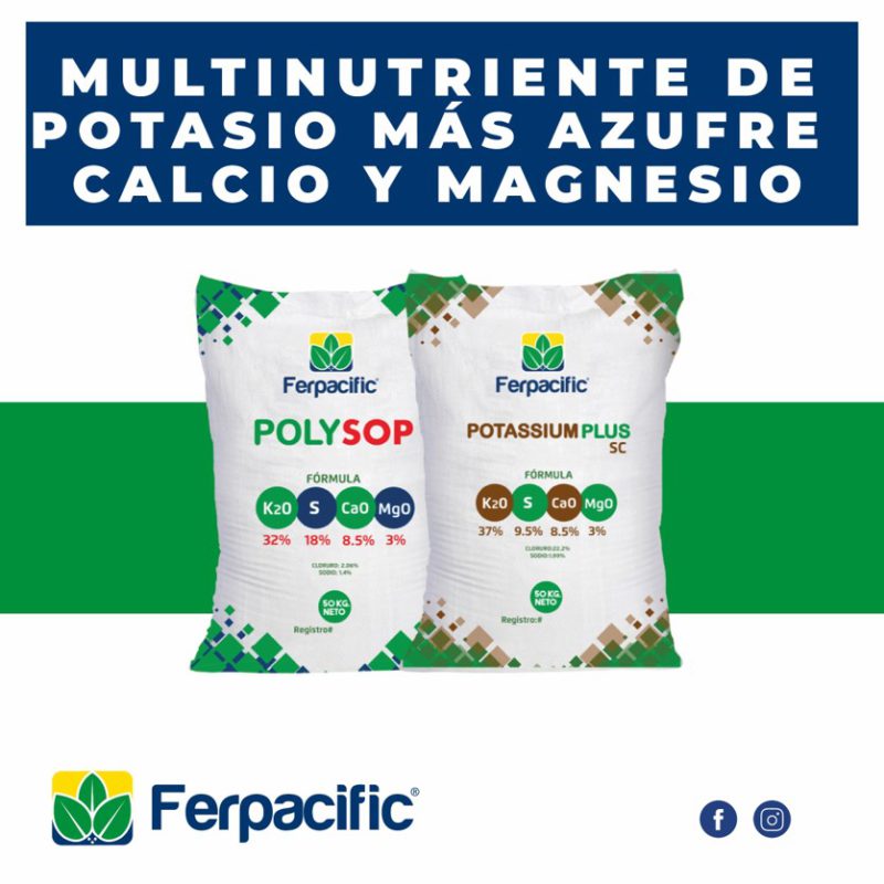 Polysop-Potassium-Plus-1