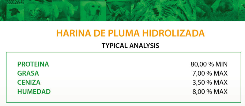 Harina-de-Pluma-Hidrolizada-01-1