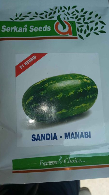 SANDIA-MANABI