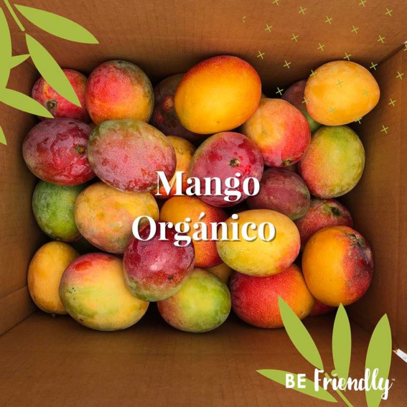 mango-organico