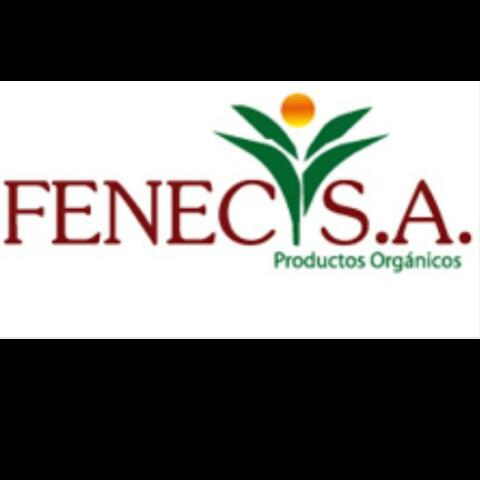 Logo-fenec-2
